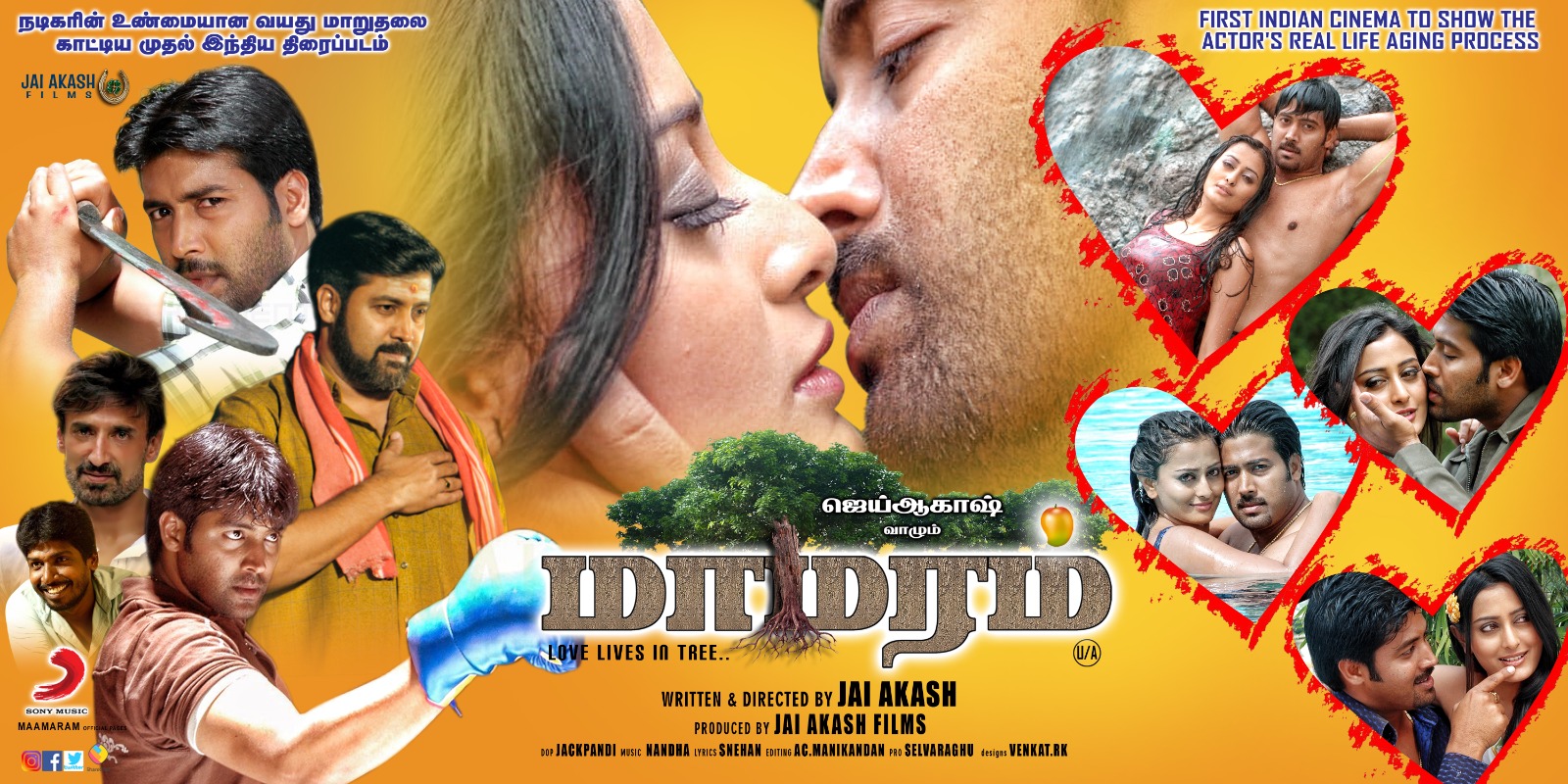 மாமரம் திரை விமர்சனம்… பழுத்த மரமா.? பட்ட மரமா.?