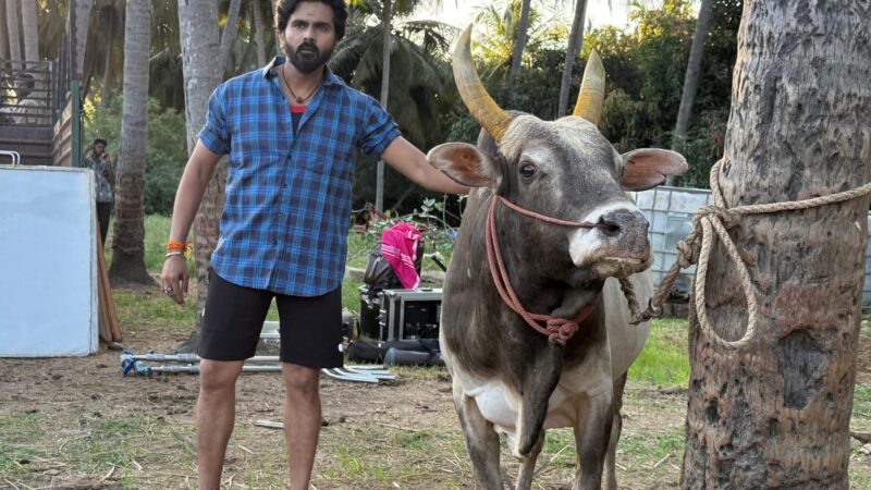 சிவனின் நந்தி ரூபத்தில் காளை கொடுத்த பச்சை..; விபத்து காயம் குறித்து அசோக்