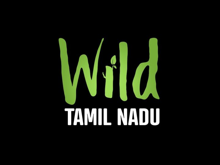 WILD Tamilnadu மனிதர்களுக்கும் காட்டிற்குமான பிணைப்பு.. பல்லுயிர் சூழலைக் கொண்டாடும் படம்