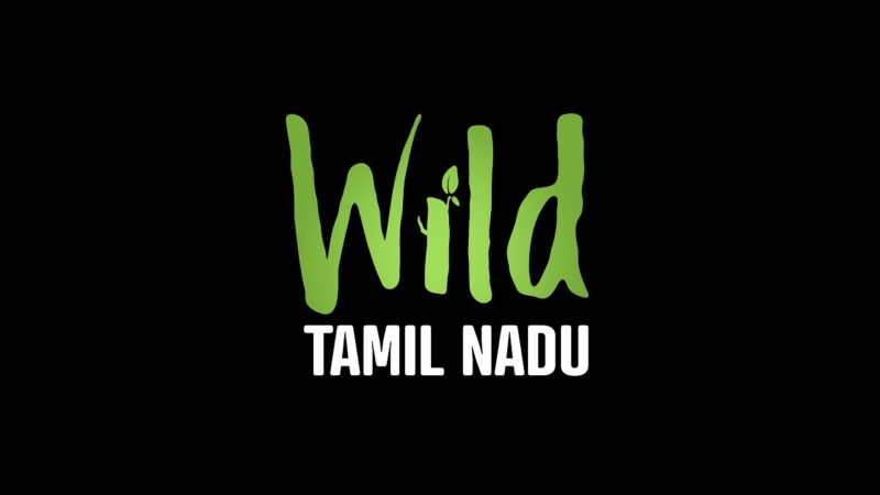 WILD Tamilnadu மனிதர்களுக்கும் காட்டிற்குமான பிணைப்பு.. பல்லுயிர் சூழலைக் கொண்டாடும் படம்