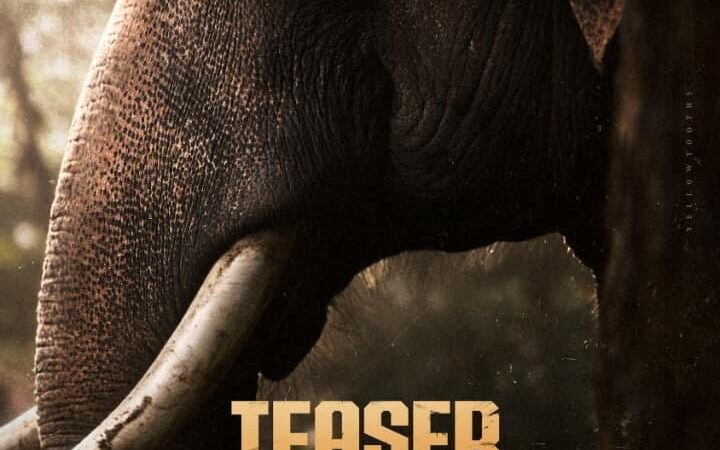 ‘காட்டாளன்’ டீசர் : பால் ஜார்ஜ் இயக்கத்தில் ஆண்டனி வர்கீஸ் & துஷாரா விஜயன் 