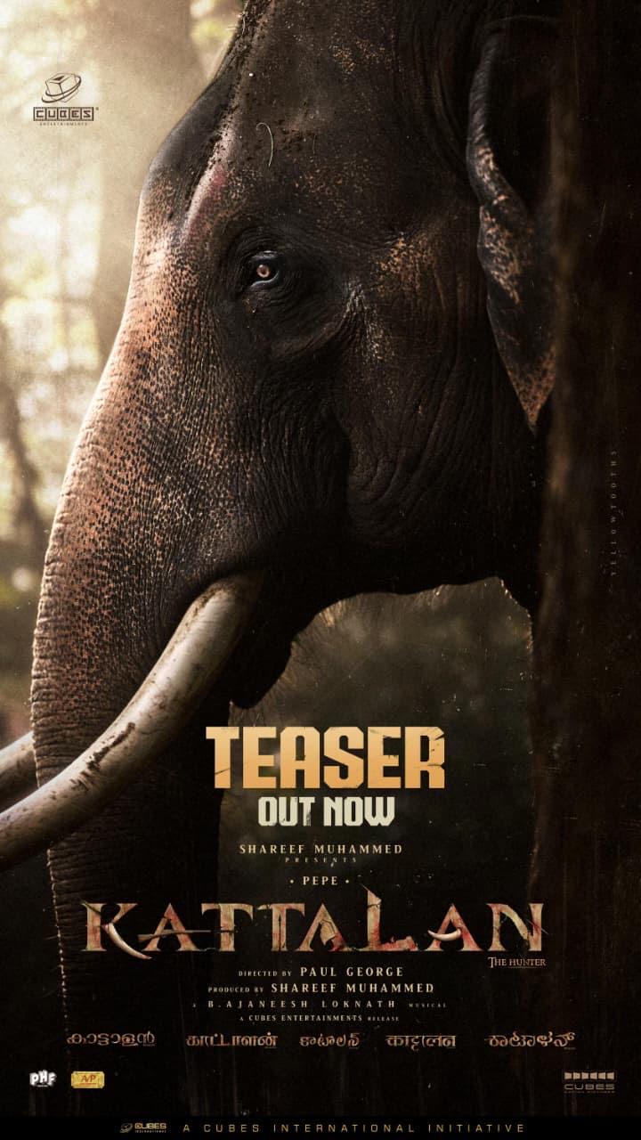 ‘காட்டாளன்’ டீசர் : பால் ஜார்ஜ் இயக்கத்தில் ஆண்டனி வர்கீஸ் & துஷாரா விஜயன் 