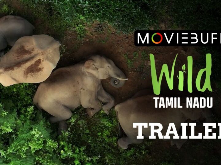 WILD TAMILNADU வைல்ட் தமிழ்நாடு விமர்சனம்.. பல்லுயிர் வளங்களை அடுத்த தலைமுறைக்கு சொல்லும் முயற்சி