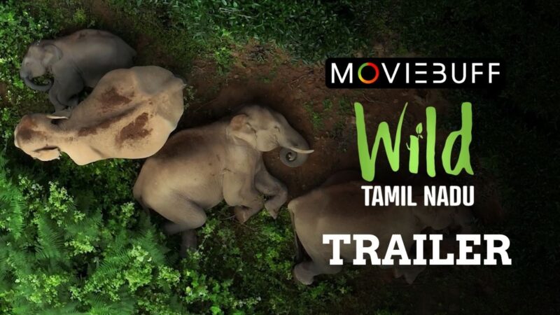 WILD TAMILNADU வைல்ட் தமிழ்நாடு விமர்சனம்.. பல்லுயிர் வளங்களை அடுத்த தலைமுறைக்கு சொல்லும் முயற்சி